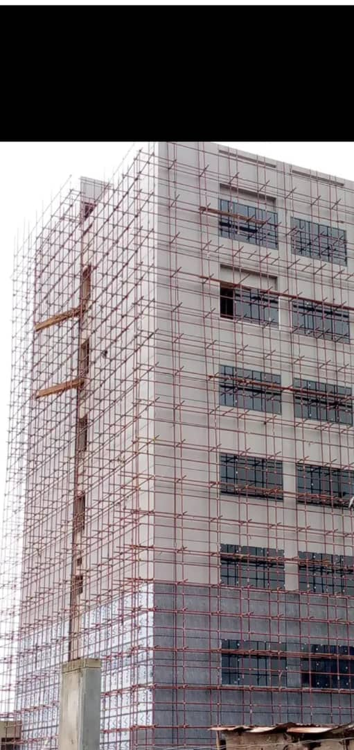 Full building elevation scaffold encapsulation